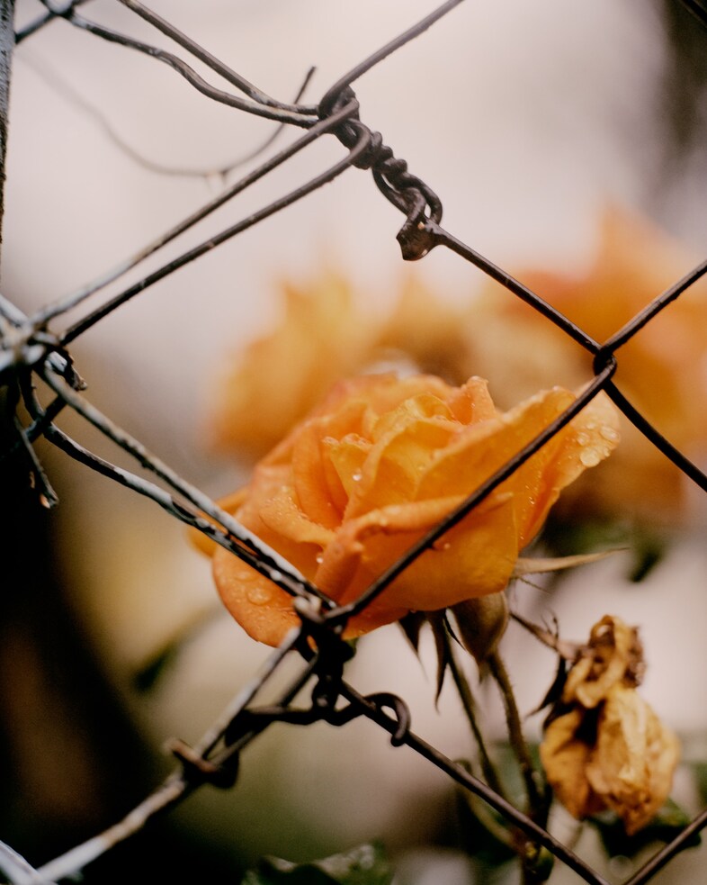 Juan Brenner photographer Genesis Guatemala 27