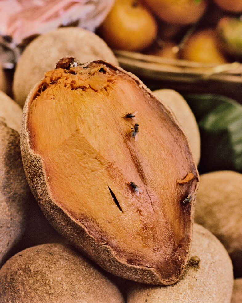 Juan Brenner photographer Genesis Guatemala 29