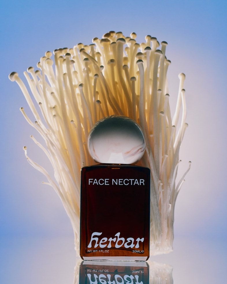 Herbar CBD &amp; adaptogenic spa 4