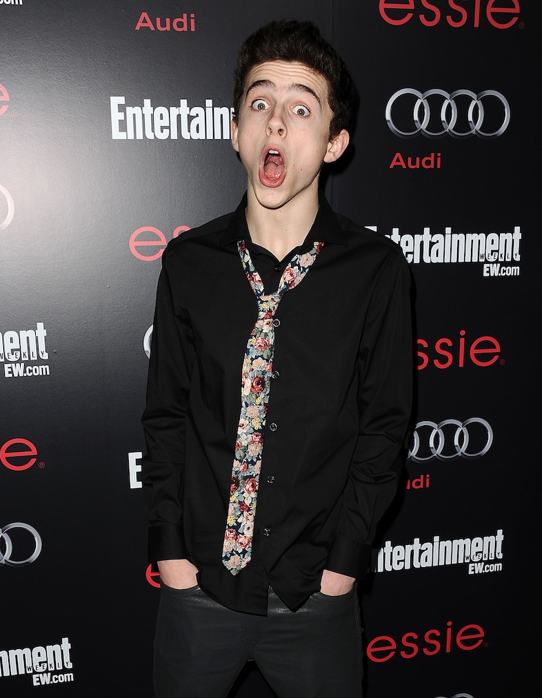 Timoth&#233;e Chalamet best looks 9