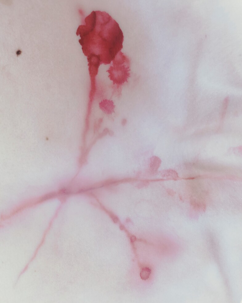 Photography Ana Marti and make-up Simone Gammino 9