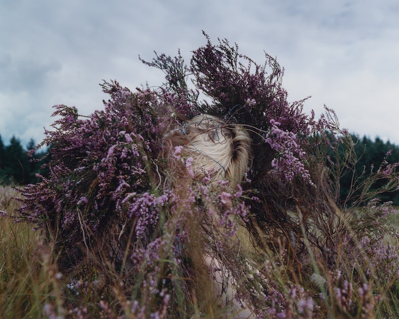 Camille Lemoine, Down Tower Road