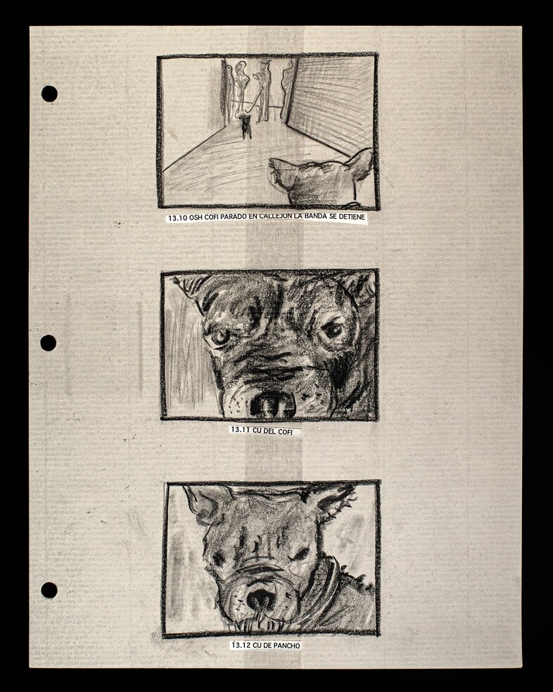 &#169; Fernando Llanos, from Amores Perros (MACK, 2025) 13