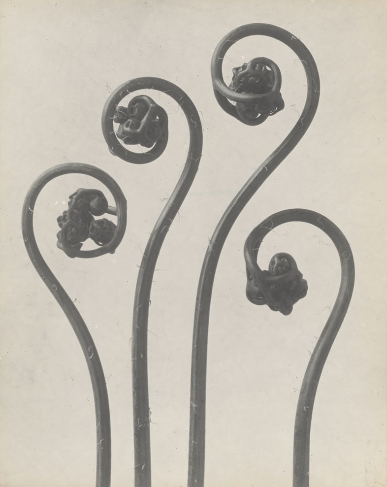 Typologien: Photography in 20th Century Germany 9