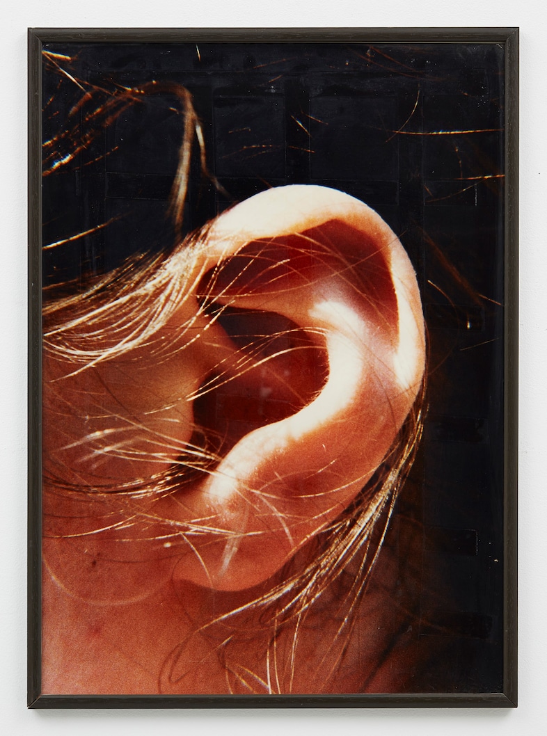 Typologien: Photography in 20th Century Germany