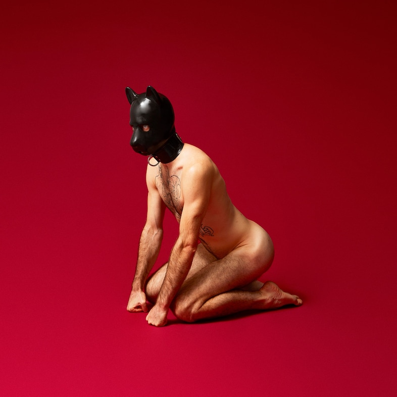 _Pup on red_ by Matt Ford