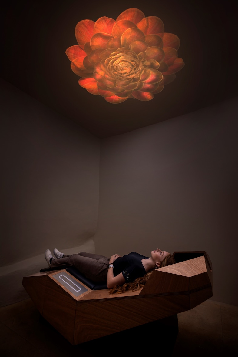Lac_2020spring_sexpelting_drufulation_druffold_cg_tg_tg_tg_tg_tg_tg_tg_tg_tg_tg_tg_tg_tg_tg_tg