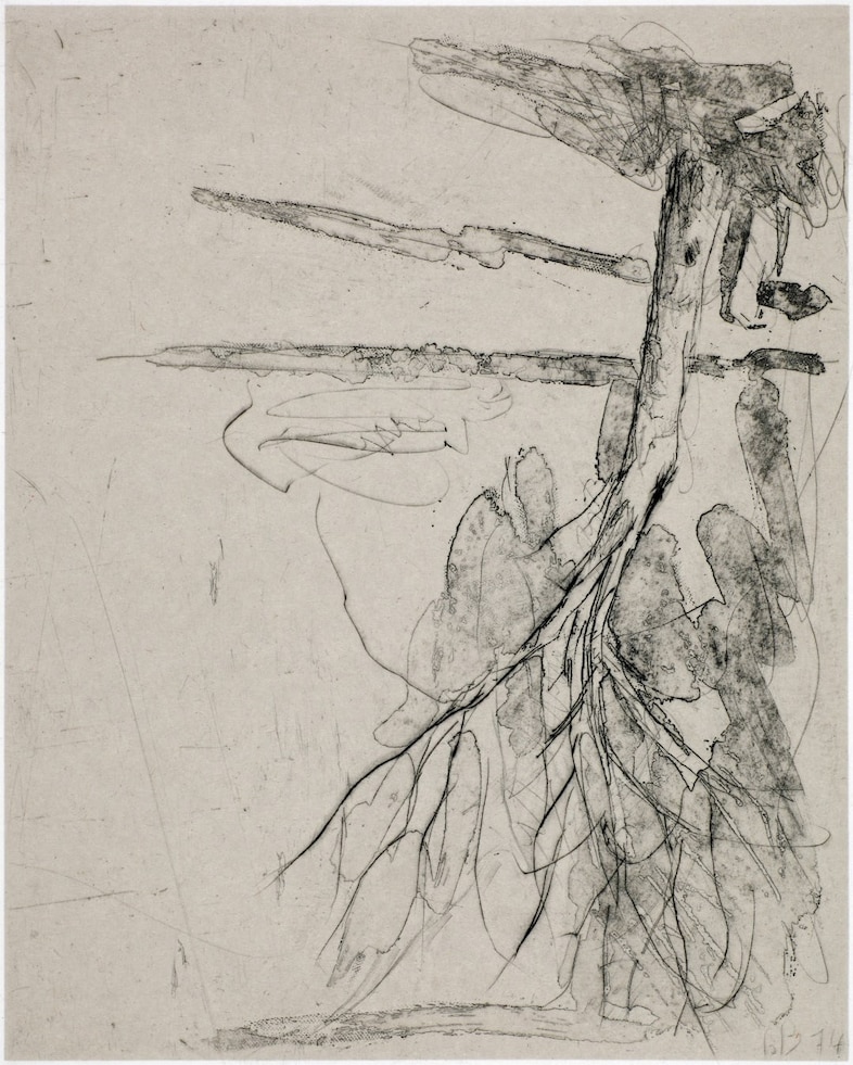 Georg Baselitz, Ohne Titel (1974) 14
