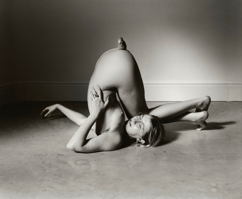 Steph Wilson, Gilded Lilies, photo book, portraits