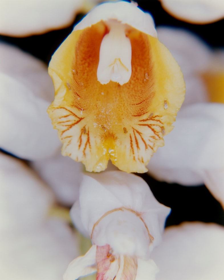 En Plein Coeur, Guerlain, exhibition, Paris, Art Basel 8