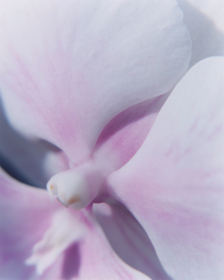 En Plein Coeur, Guerlain, exhibition, Paris, Art Basel 12