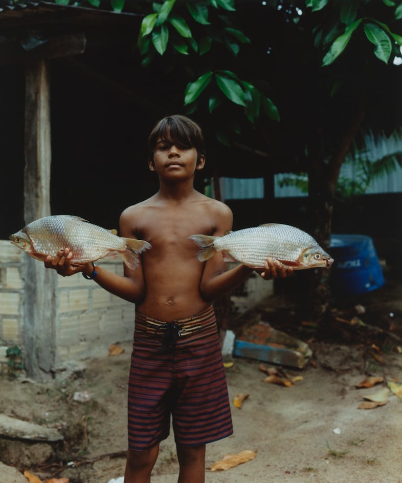These photos show a ‘profoundly hopeful’ side to rainforest life