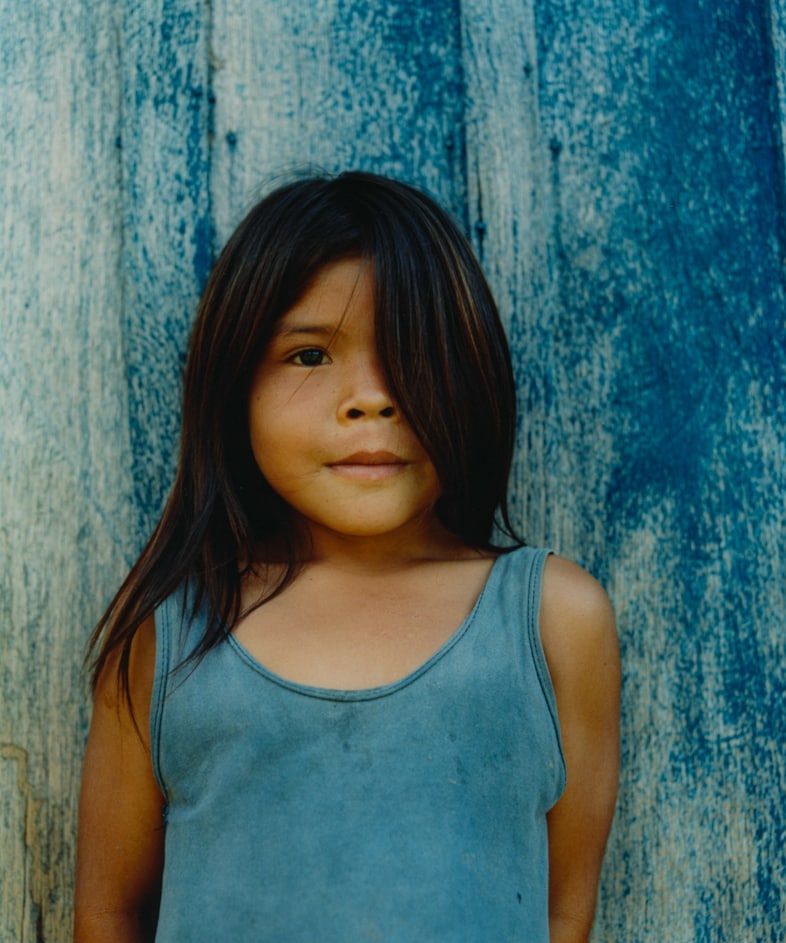 Record Stefan Dotter rainforest book photography