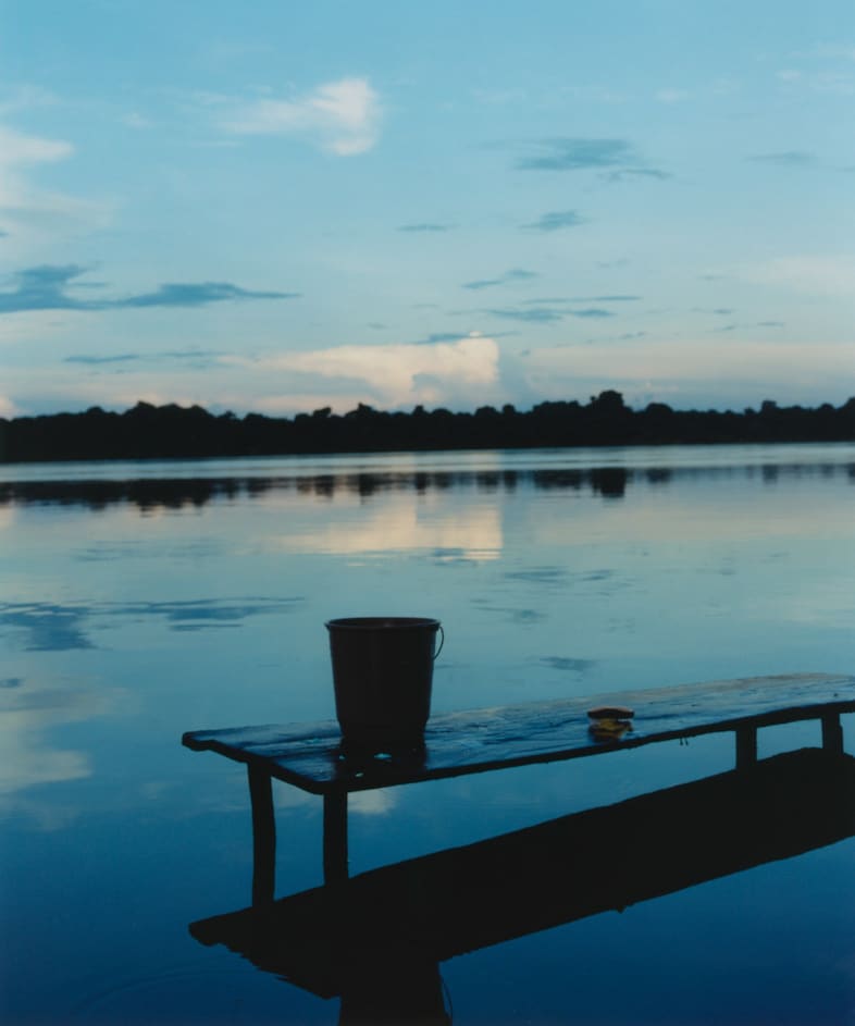 Record Stefan Dotter rainforest book photography 1