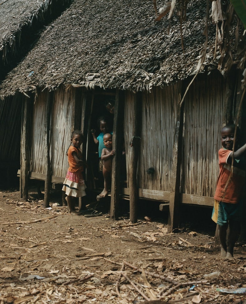 Record Stefan Dotter rainforest book photography 7