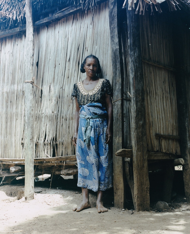 Record Stefan Dotter rainforest book photography 8