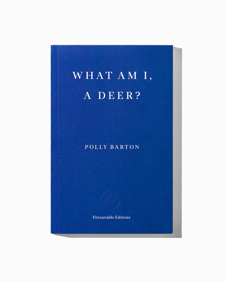 FITZ-PREMIUM-E-COVERS-FICTION-What-Am-I-scaled