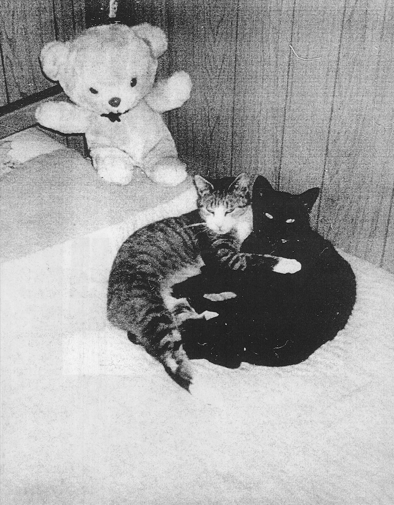 Pia Paulina Guilmoth and Jesse Bull Saffire, Fishworm