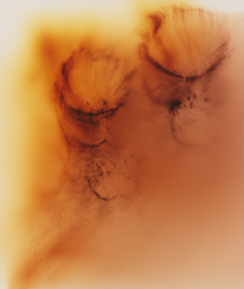 Wolfgang Tillmans, Keep Movin’, exhibition, London 2026 8