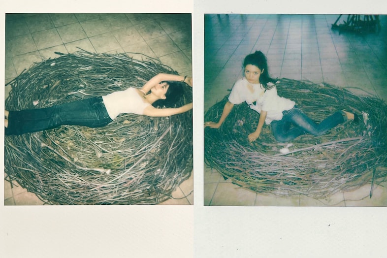 The Flesh That Says Yes