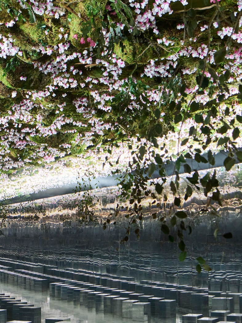 Dior SS26 couture show space