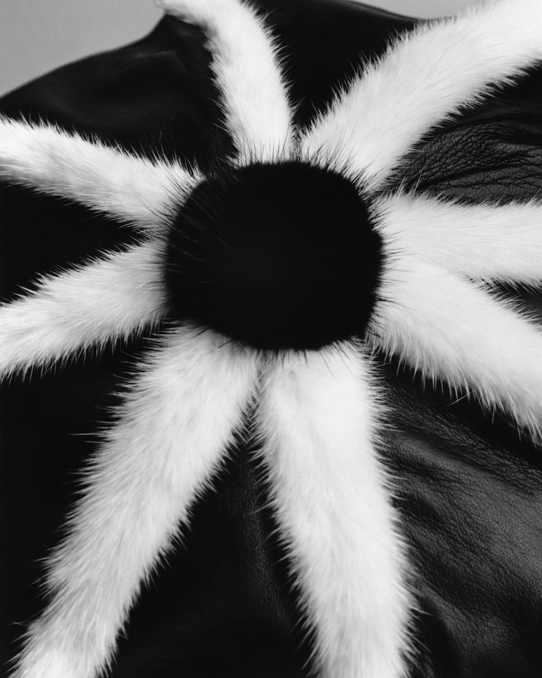 Wales Bonner SS26 campaign 4