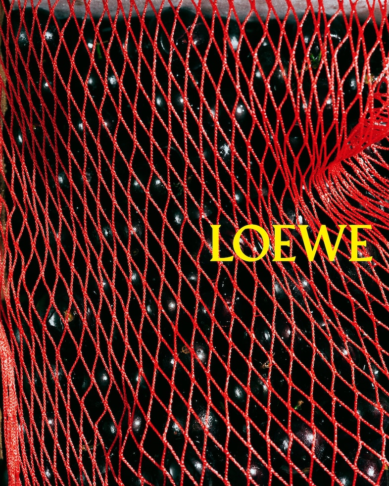 Loewe SS26 campaign 17
