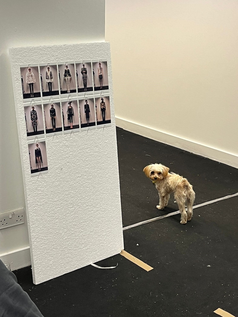 Petra Fagerström BTS