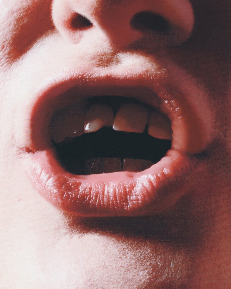 Emily Lipson, Dykes 2