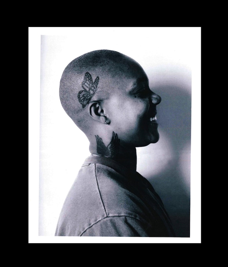 Emily Lipson, Dykes 14