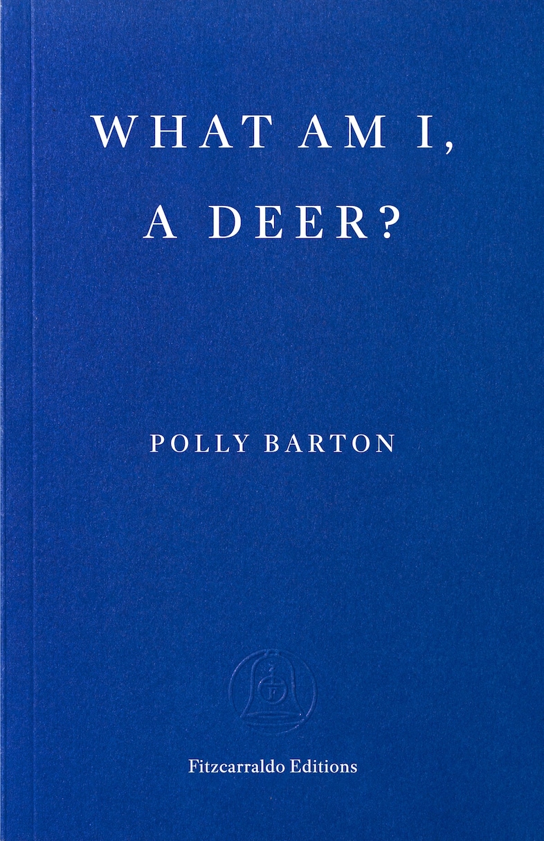 What Am I, A Deer? Cover
