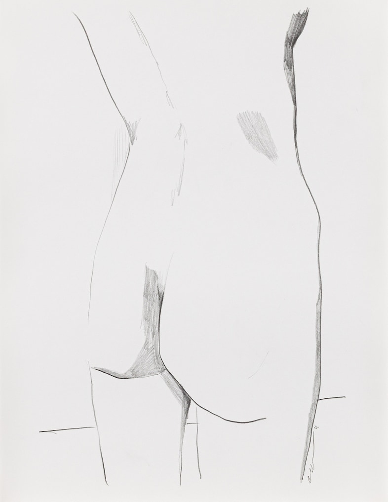 Collier Schorr, Problems and Other Stories 1