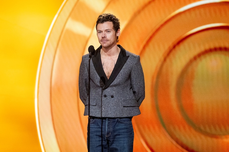 Harry Styles in Dior