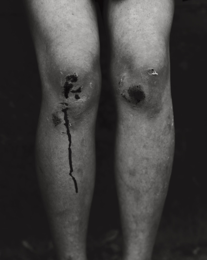 Aria Shahrokhshahi, Wet Ground 3