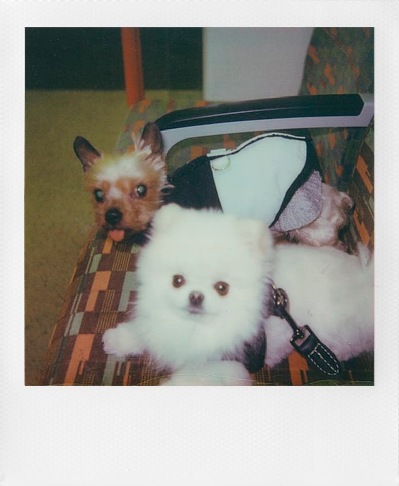 KaidenFord_Polaroids_March2026 8 3