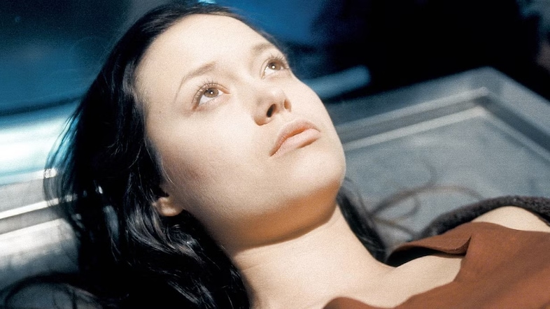 Firefly (2002)