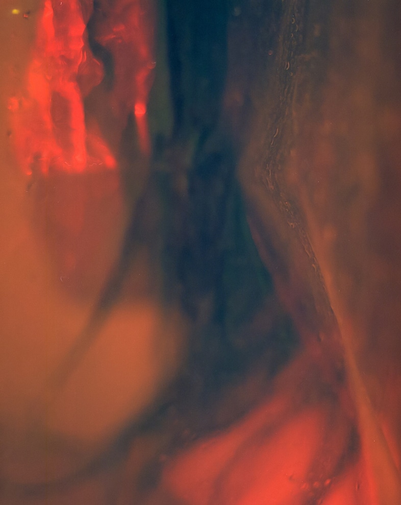 Tracy Dong, Reassemblage 1