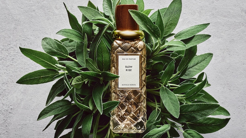 Bottega Veneta Alta collection