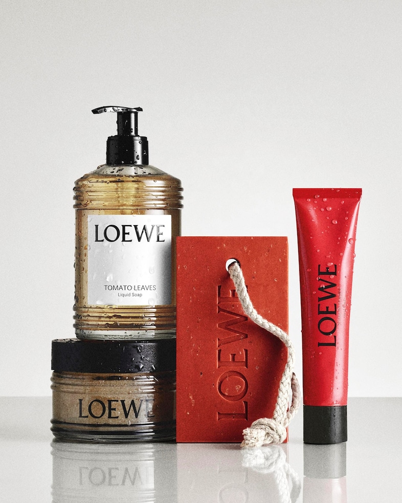 Loewe tomato leaves
