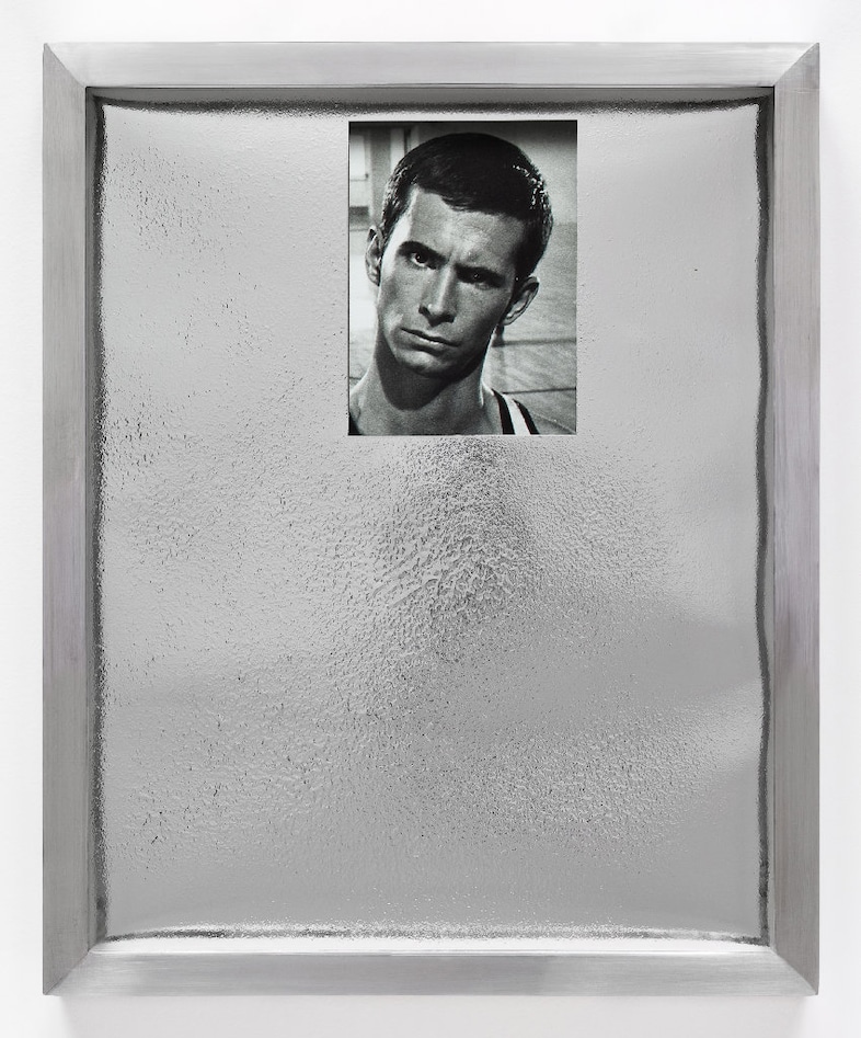 Elad Lassry (Israeli, born 1977) Portrait 1 (silve 8