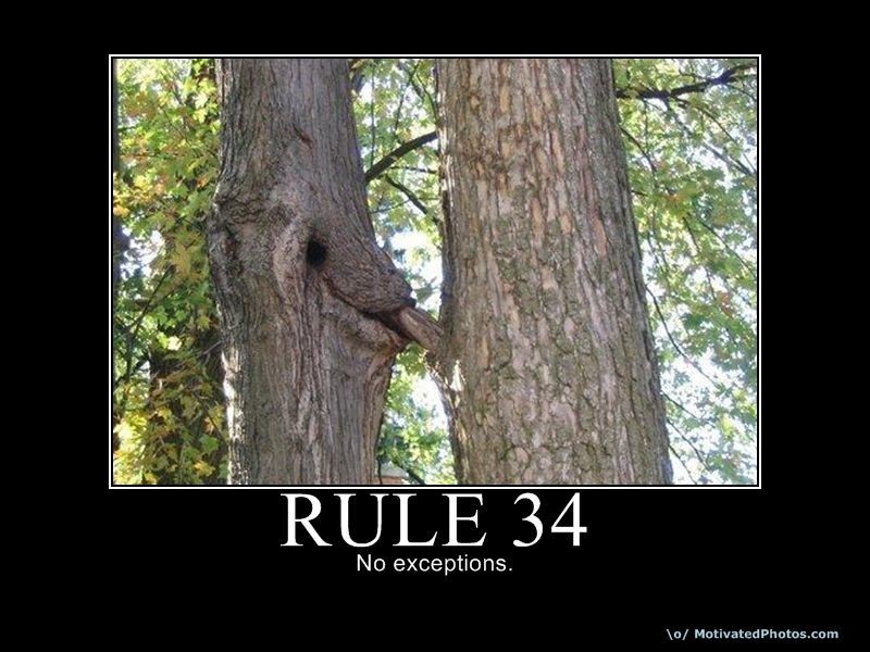 If it exists - Rule 34