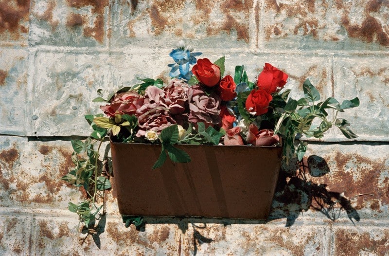 Flower Bucket, Austin, Texas 5