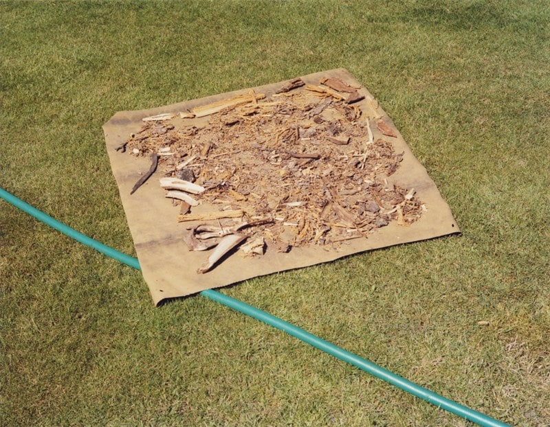 Willem Jaspert Masopust Photo Series 8