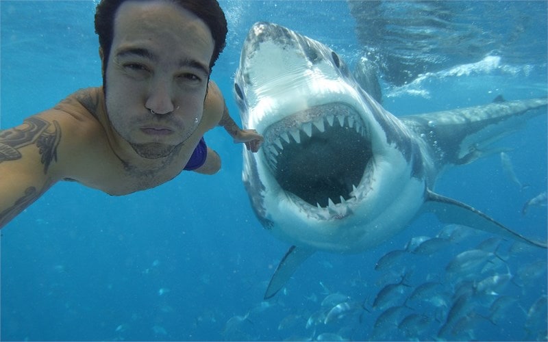 shark selfie