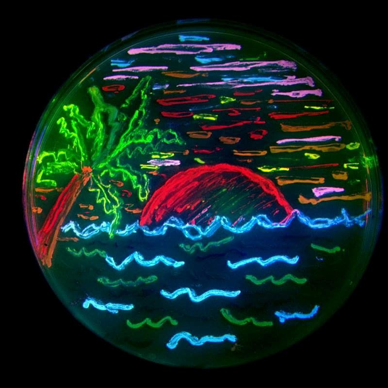 Roger Tsien&#39;s lab 0