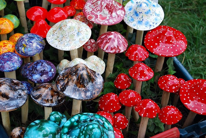 Magic mushrooms