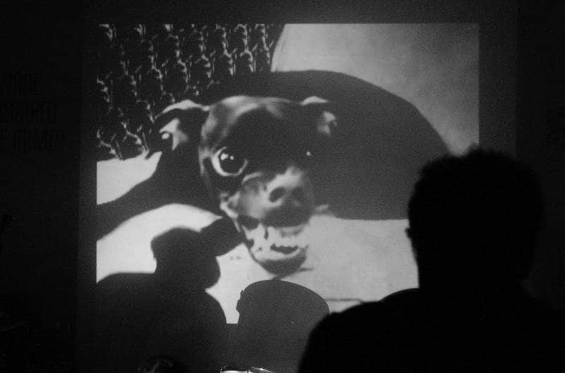 Images of collaboration between Adham Faramawy and 12