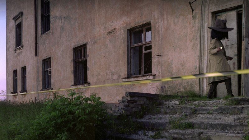 Image 6