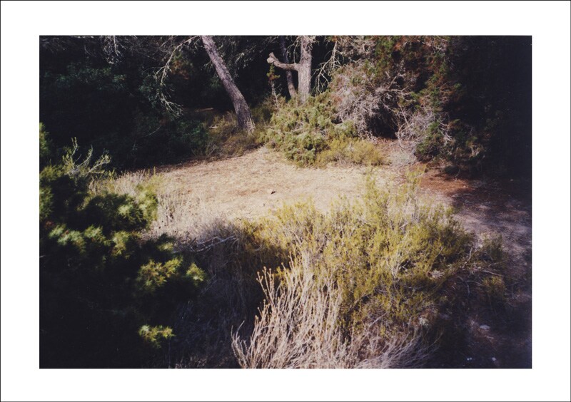 Image 8