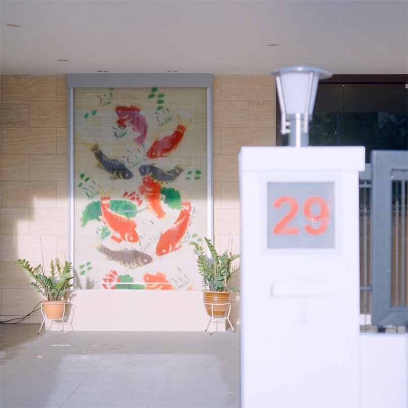 Singapore Brothels, Nguan, Dazed 5